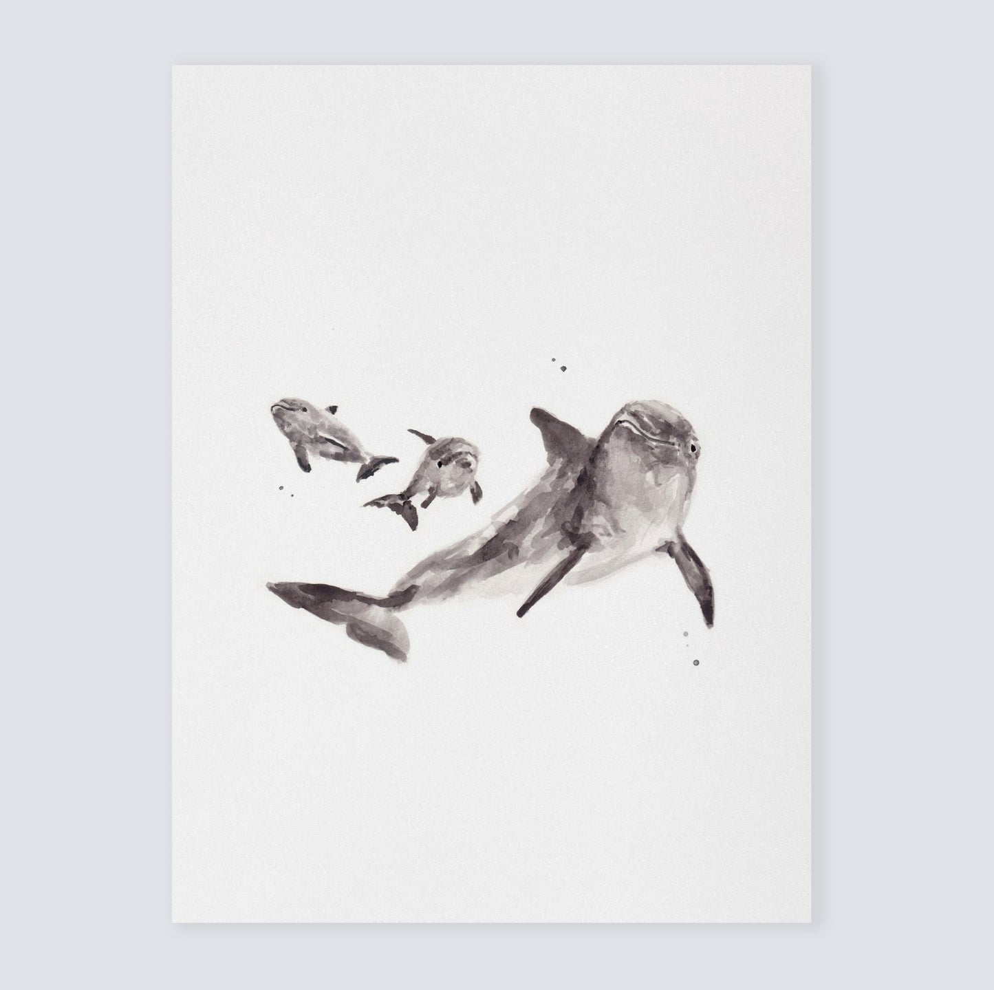 Baby Dolphins & Parent Watercolor Print - Art Prints - Moon Rock Prints