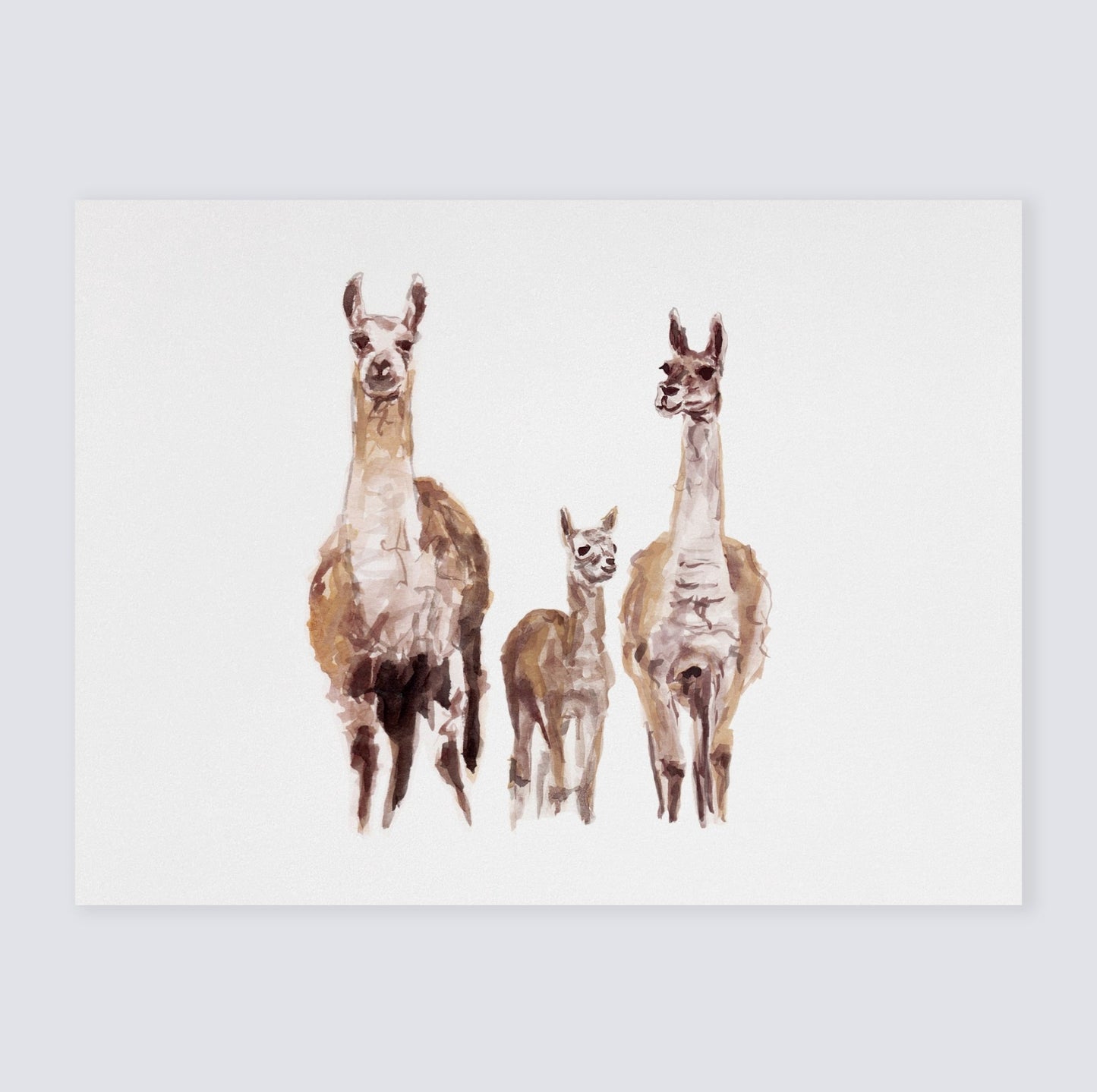 Llama Family Watercolor Print - Art Prints - Moon Rock Prints