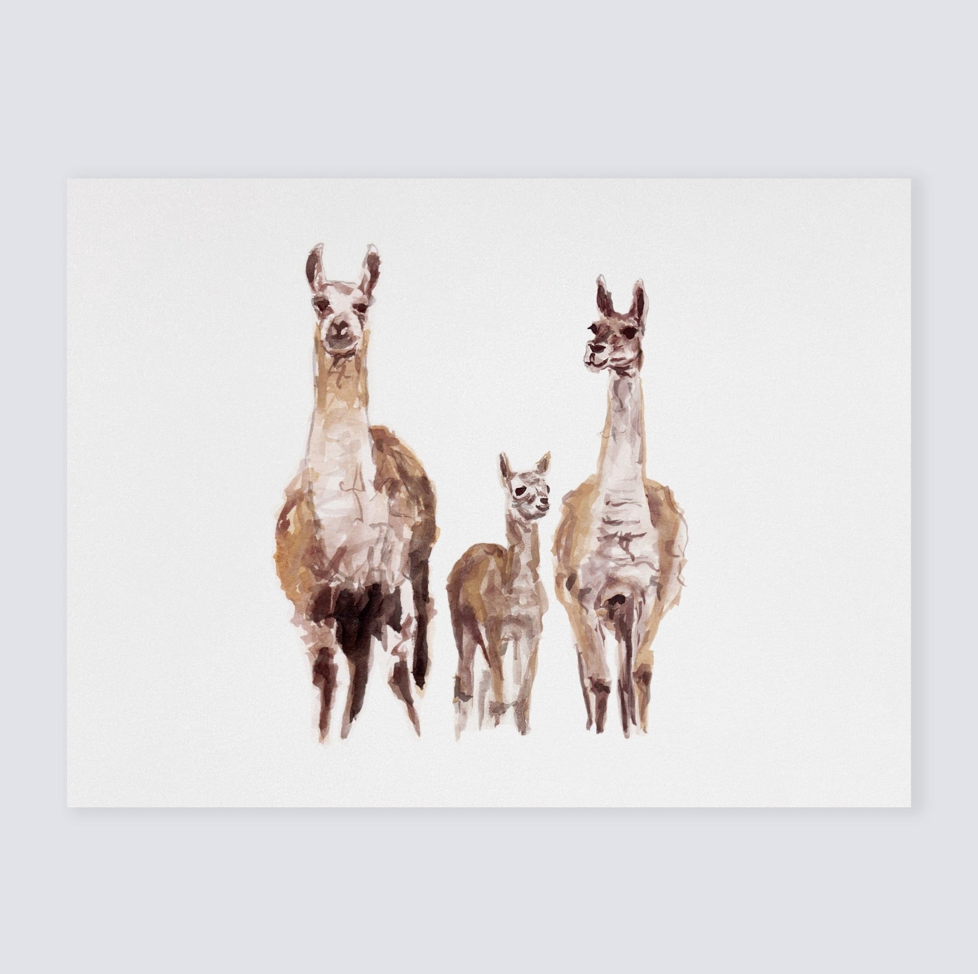Llama Family Watercolor Print - Art Prints - Moon Rock Prints