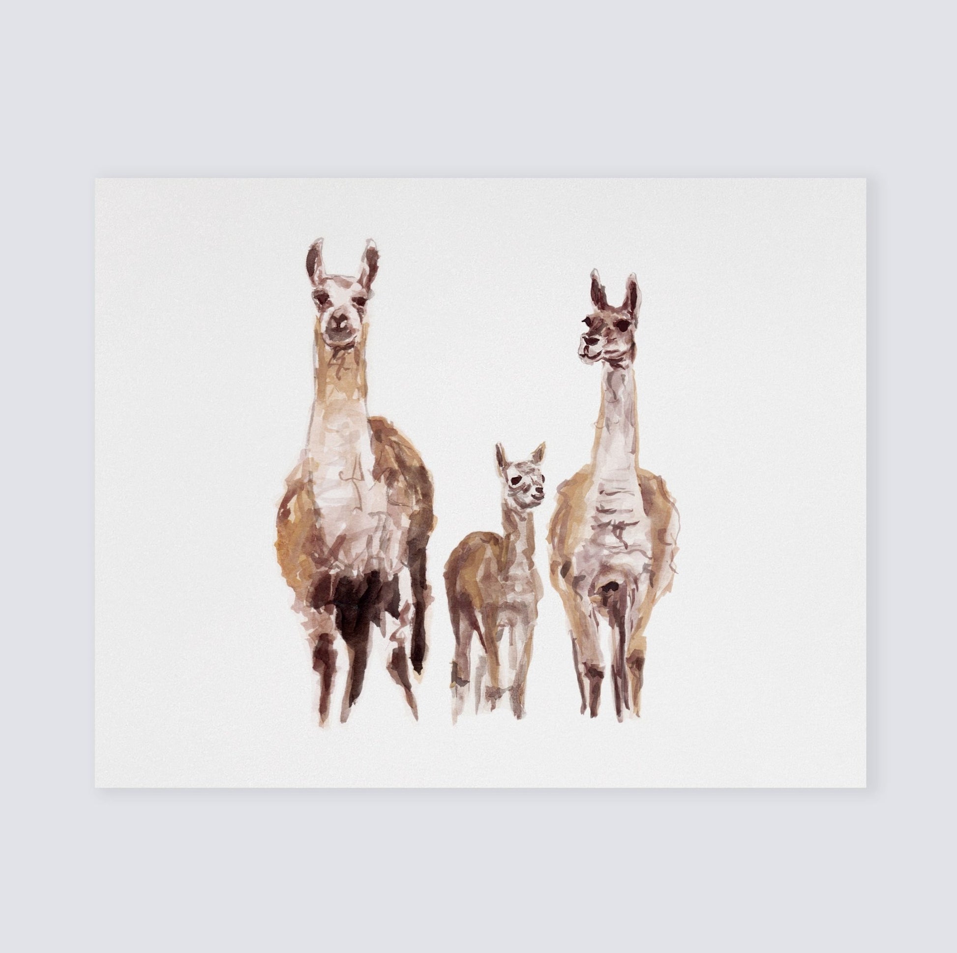 Llama Family Watercolor Print - Art Prints - Moon Rock Prints