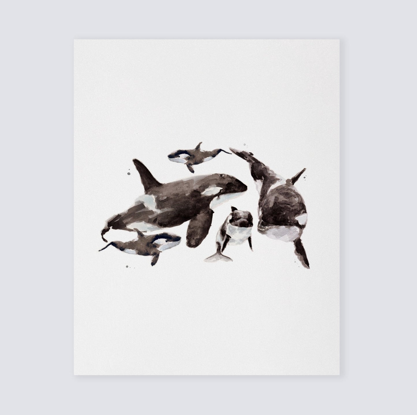 Orca Watercolor Print Orca Nursery Art Ocean Animal Print