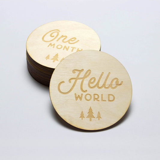 Wood Disc Milestone Marker - Baby Monthly Photo Props - Baby Shower Gift - Moon Rock Prints