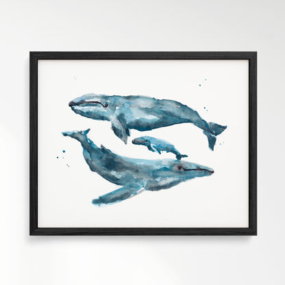 Whale Family of 3 Watercolor Art Print – in Black Frame