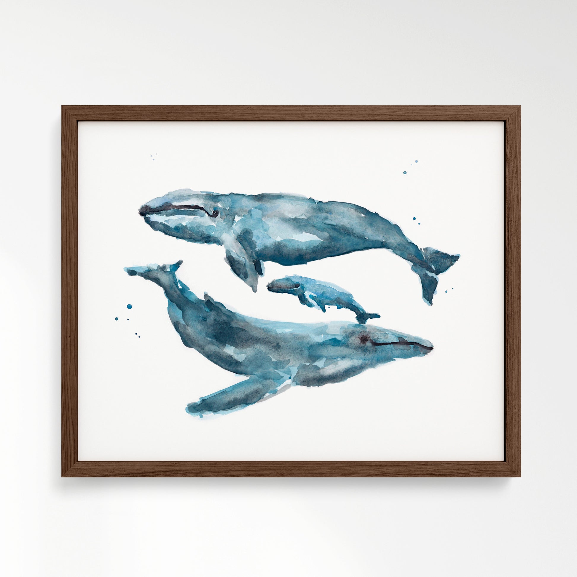 Whale Family of 3 Watercolor Art Print – in Walnut Frame