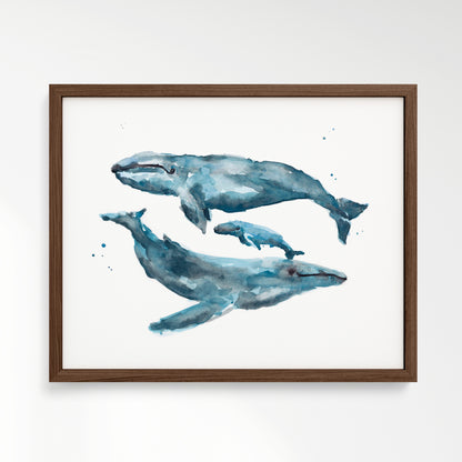 Whale Family of 3 Watercolor Art Print – in Walnut Frame