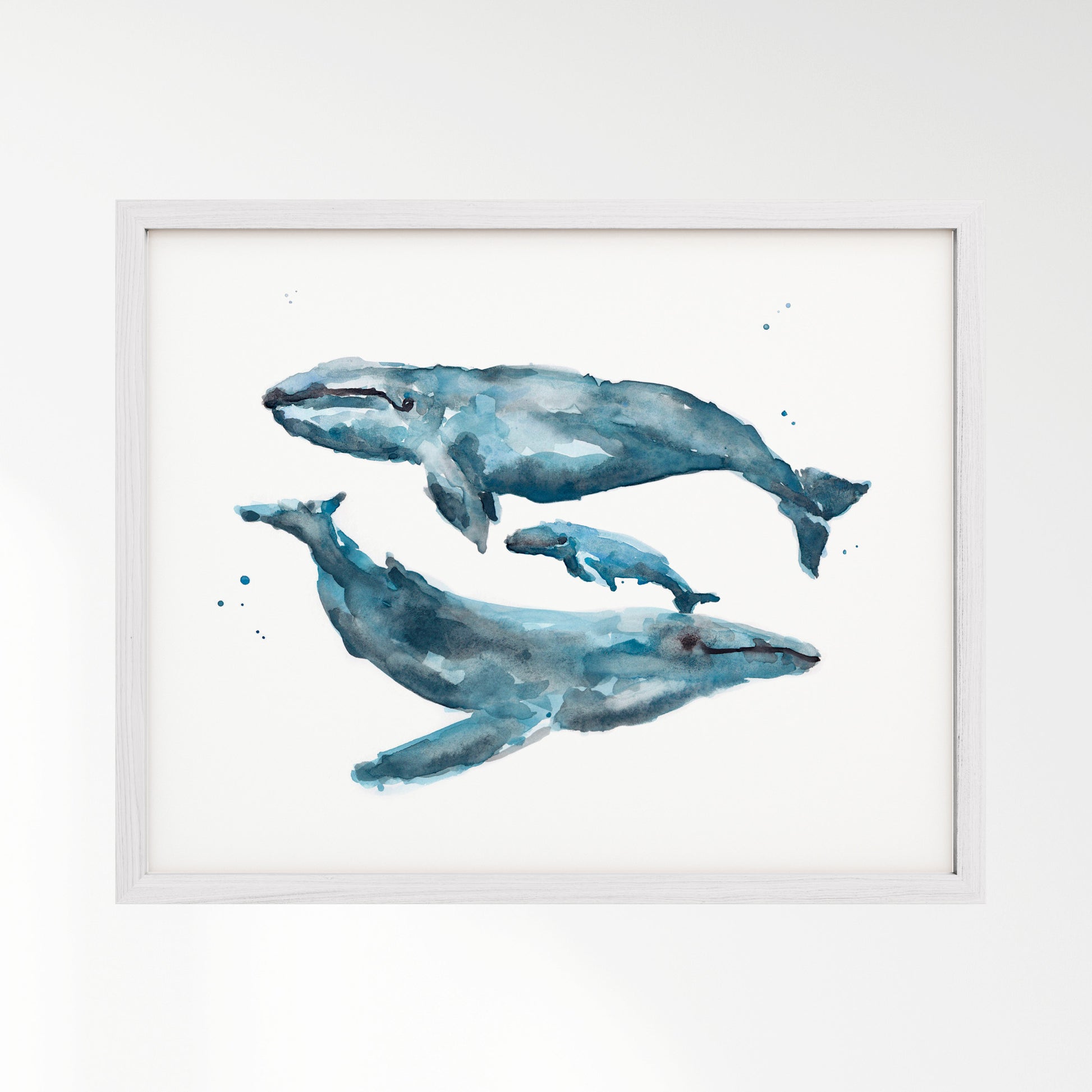 Whale Family of 3 Watercolor Art Print – in White Frame
