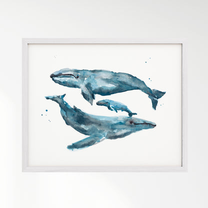 Whale Family of 3 Watercolor Art Print – in White Frame