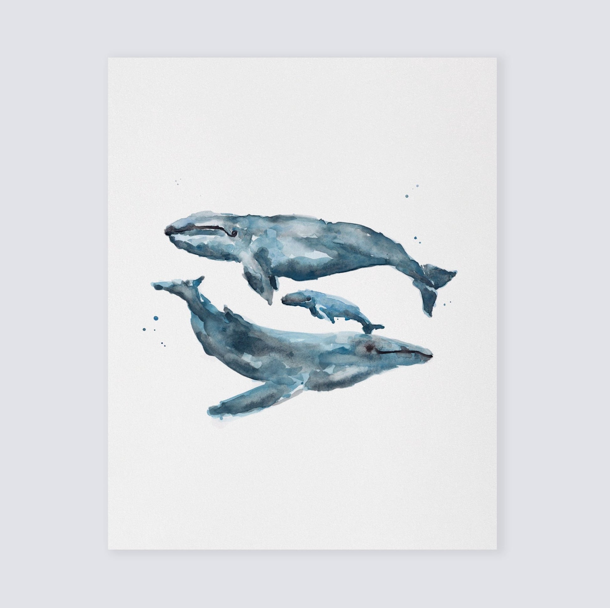 Blue Ocean Animals Watercolor Art Print Set of 3 - Art Prints - Moon Rock Prints
