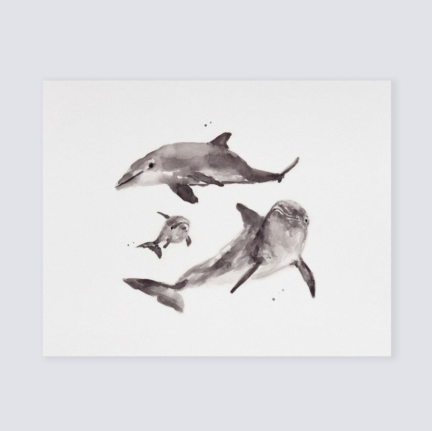 Dolphin Family of 3 Ocean Animal Watercolor Art Print - Art Prints - Moon Rock Prints