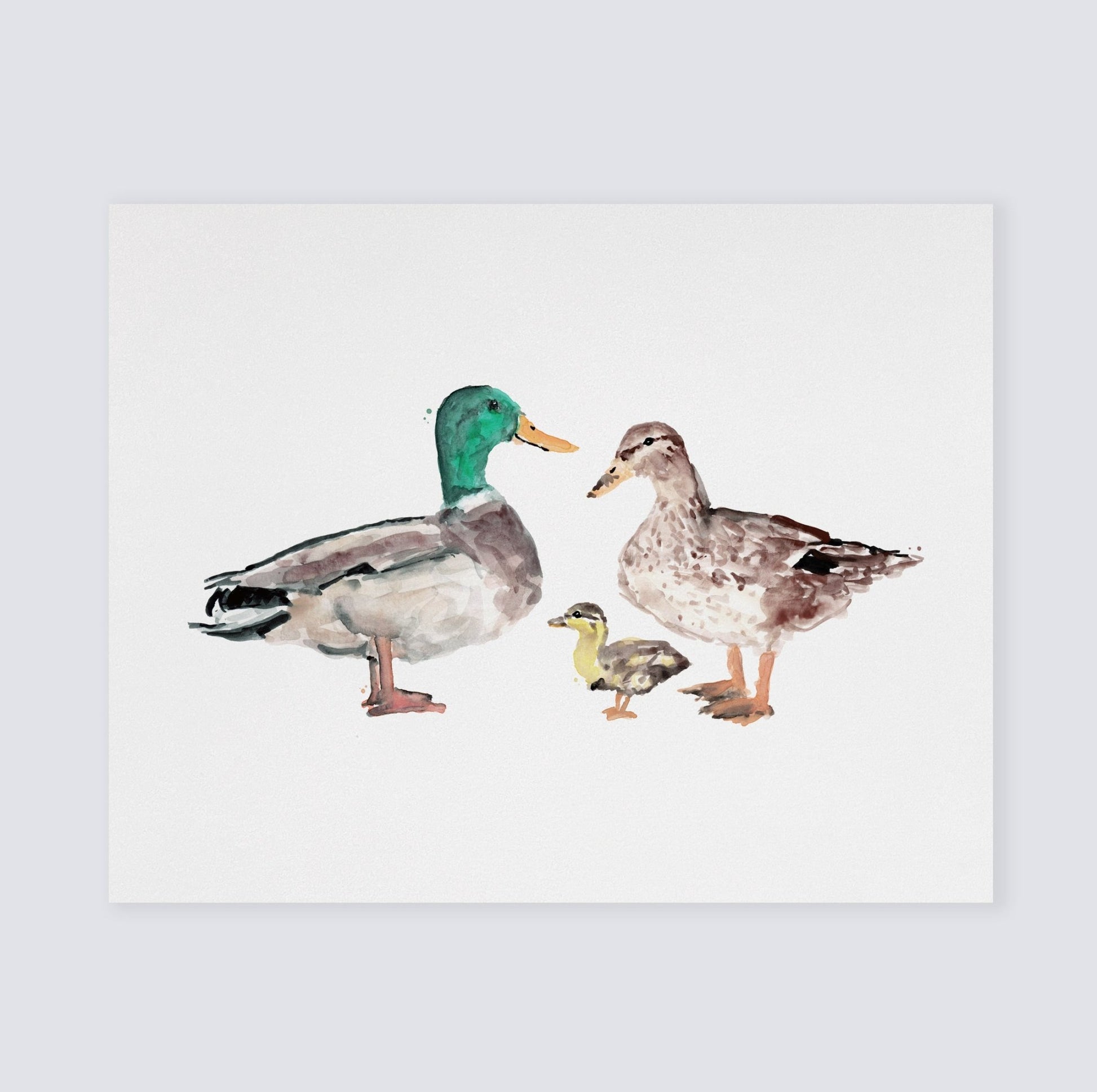 Duck Family of 3 Farm Animal Watercolor Art Print - Art Prints - Moon Rock Prints