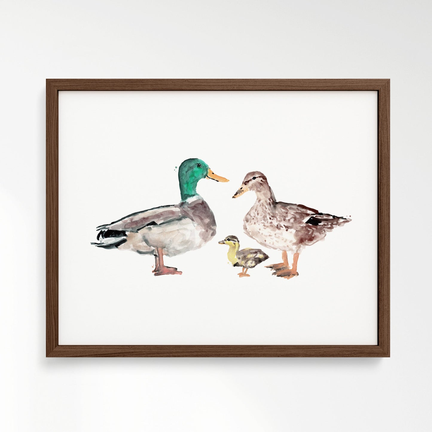 Duck Family of 3 Farm Animal Watercolor Art Print - Art Prints - Moon Rock Prints