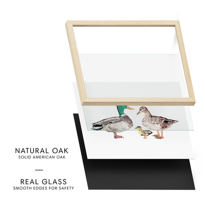 Duck Family of 3 Farm Animal Watercolor Art Print - Art Prints - Moon Rock Prints