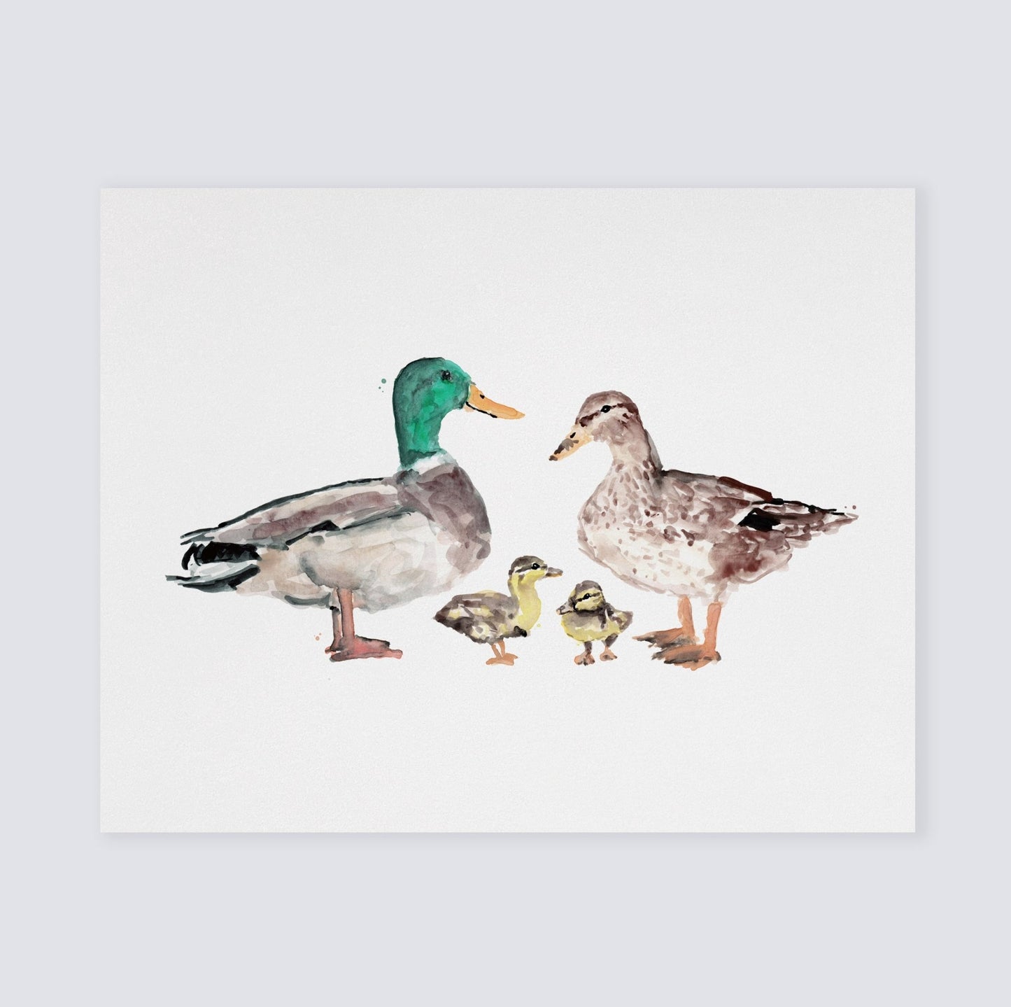 Duck Family of 4 Farm Animal Watercolor Art Print - Art Prints - Moon Rock Prints
