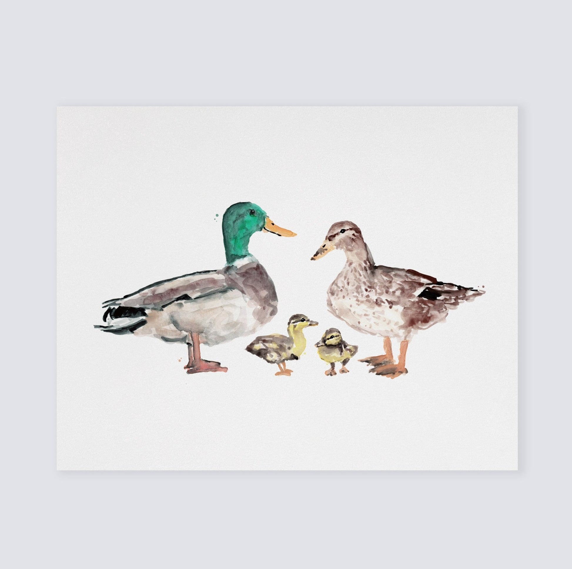 Duck Family of 4 Farm Animal Watercolor Art Print - Art Prints - Moon Rock Prints