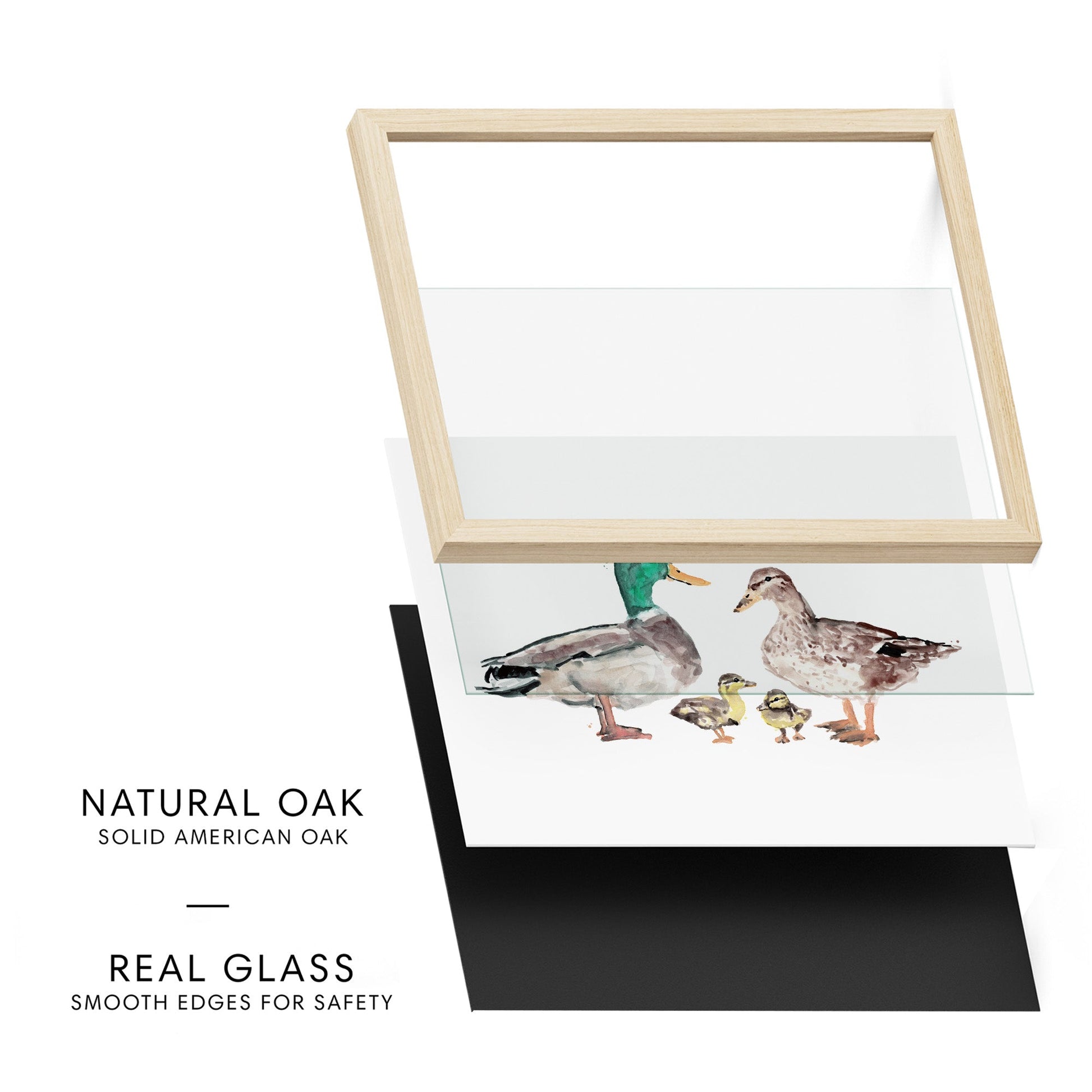 Duck Family of 4 Farm Animal Watercolor Art Print - Art Prints - Moon Rock Prints