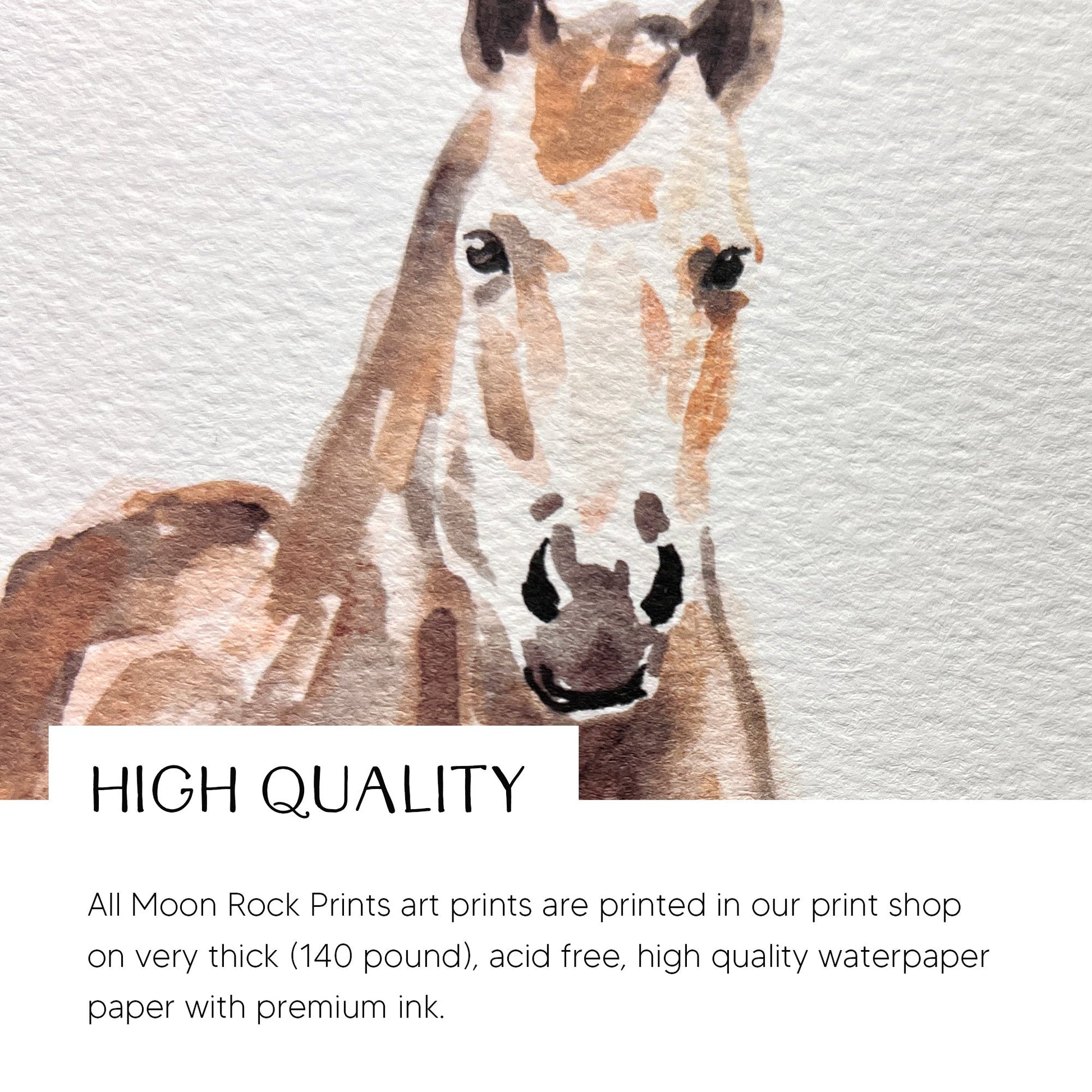 Horse Family Personalized Watercolor Art Print - Art Prints - Moon Rock Prints
