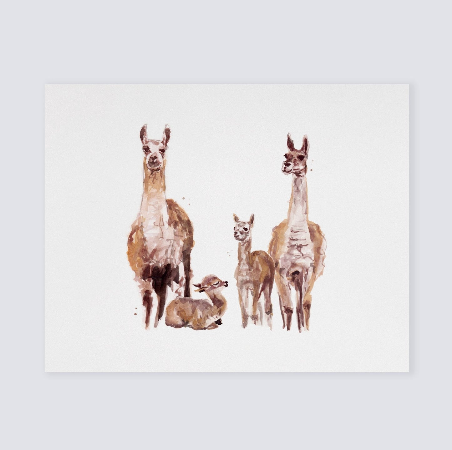 Llama Family of 4 Boho Animal Watercolor Art Print - Art Prints - Moon Rock Prints