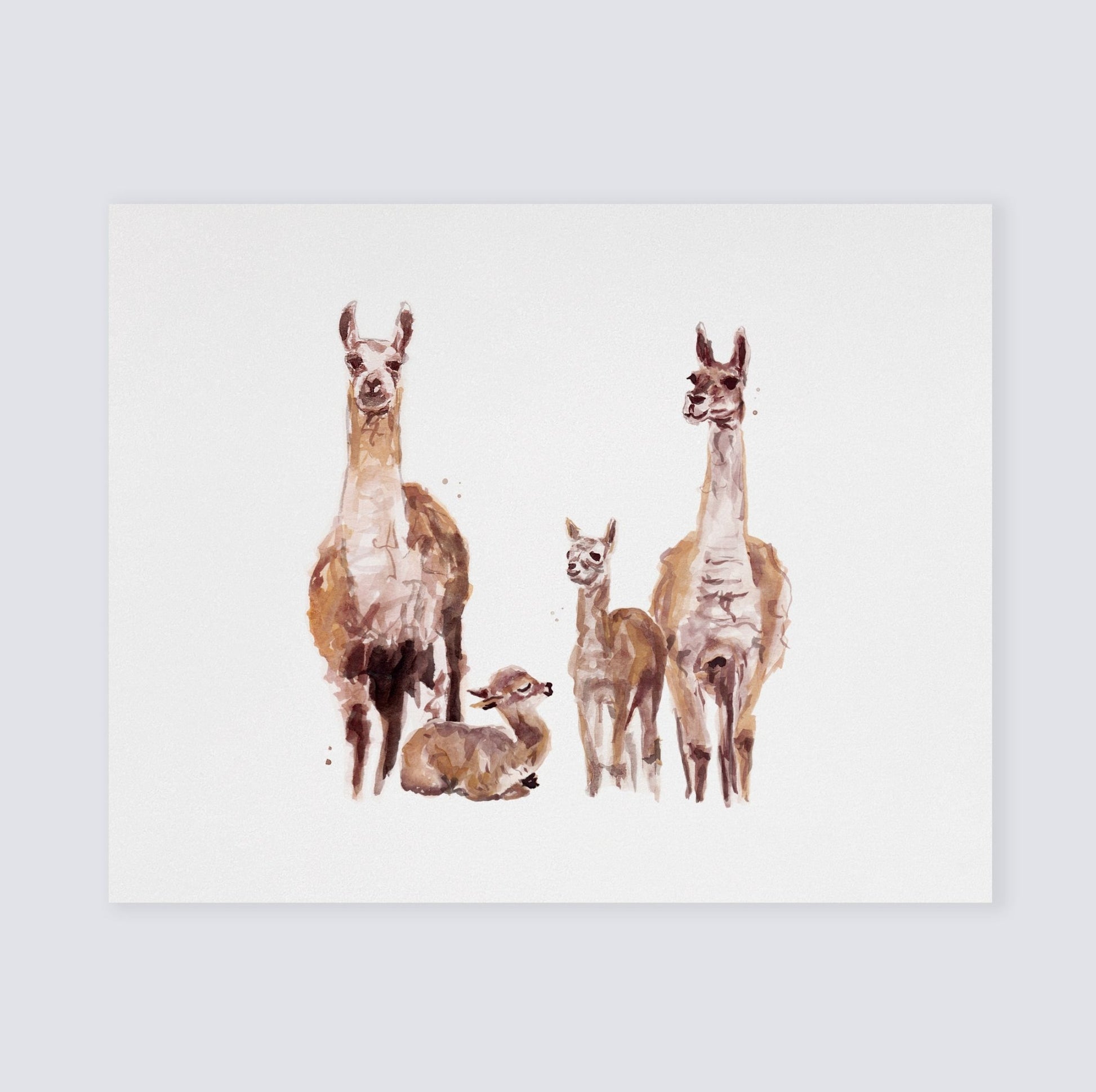 Llama Family of 4 Boho Animal Watercolor Art Print - Art Prints - Moon Rock Prints