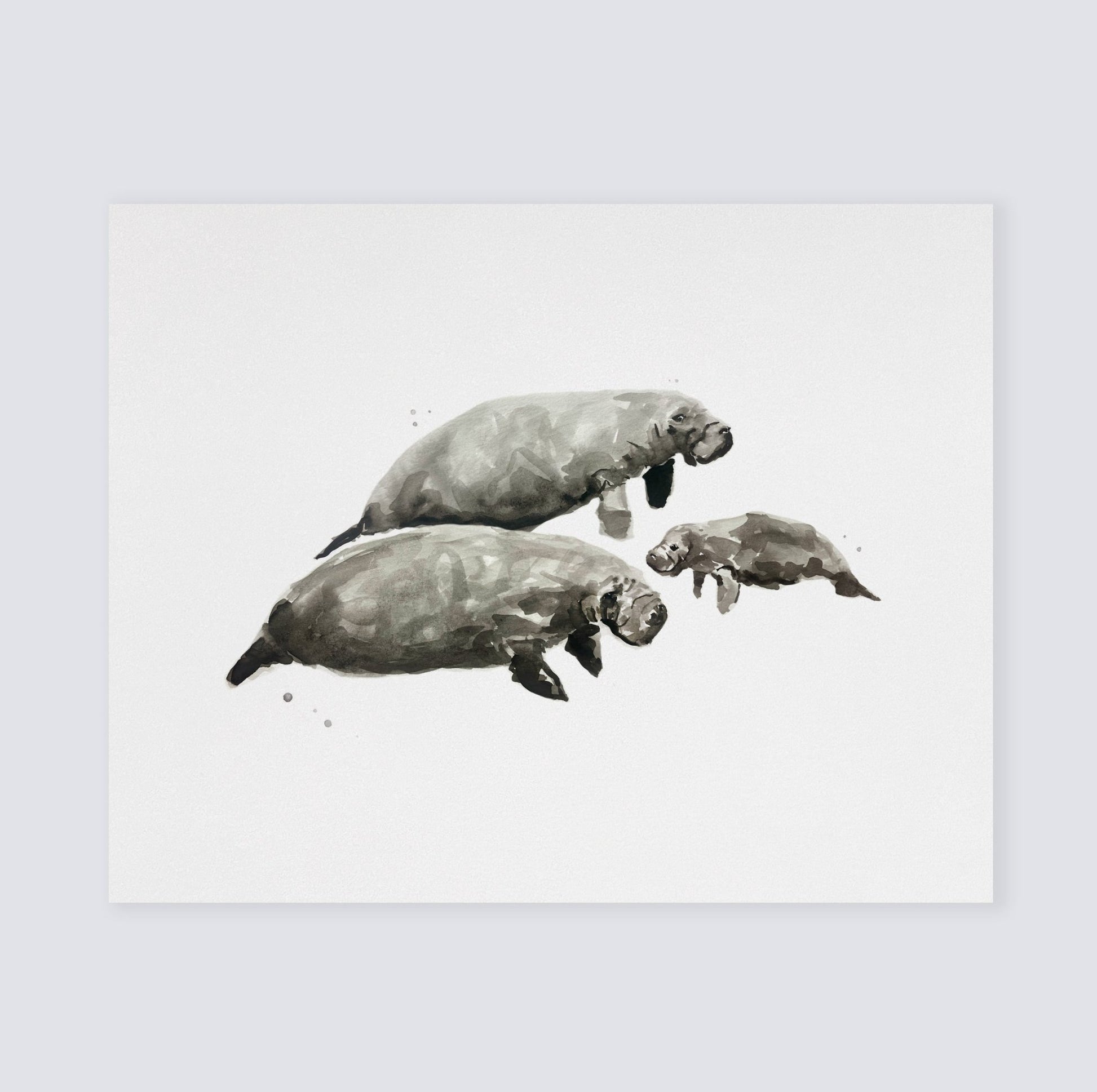 Manatee Family of 3 Ocean Animal Watercolor Art Print - Art Prints - Moon Rock Prints