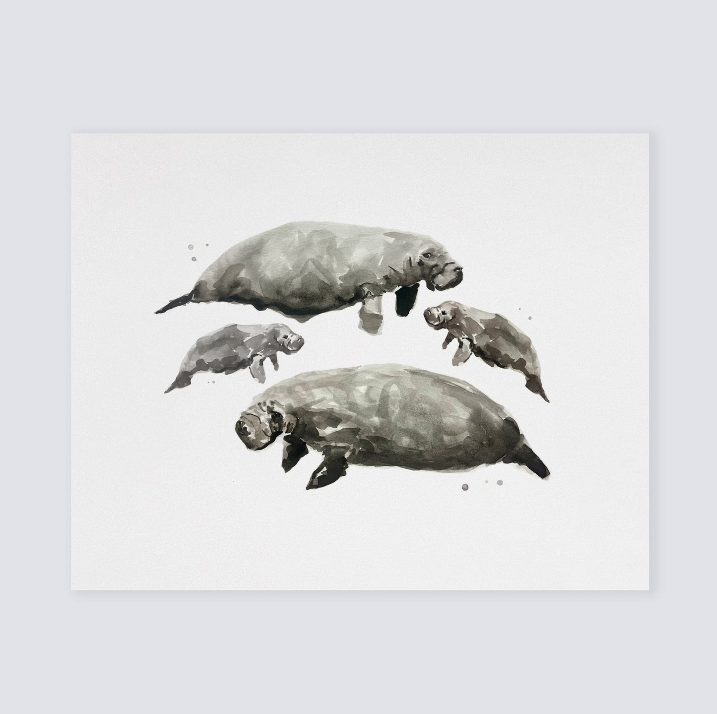 Manatee Family of 4 Sea Animal Watercolor Art Print - Art Prints - Moon Rock Prints