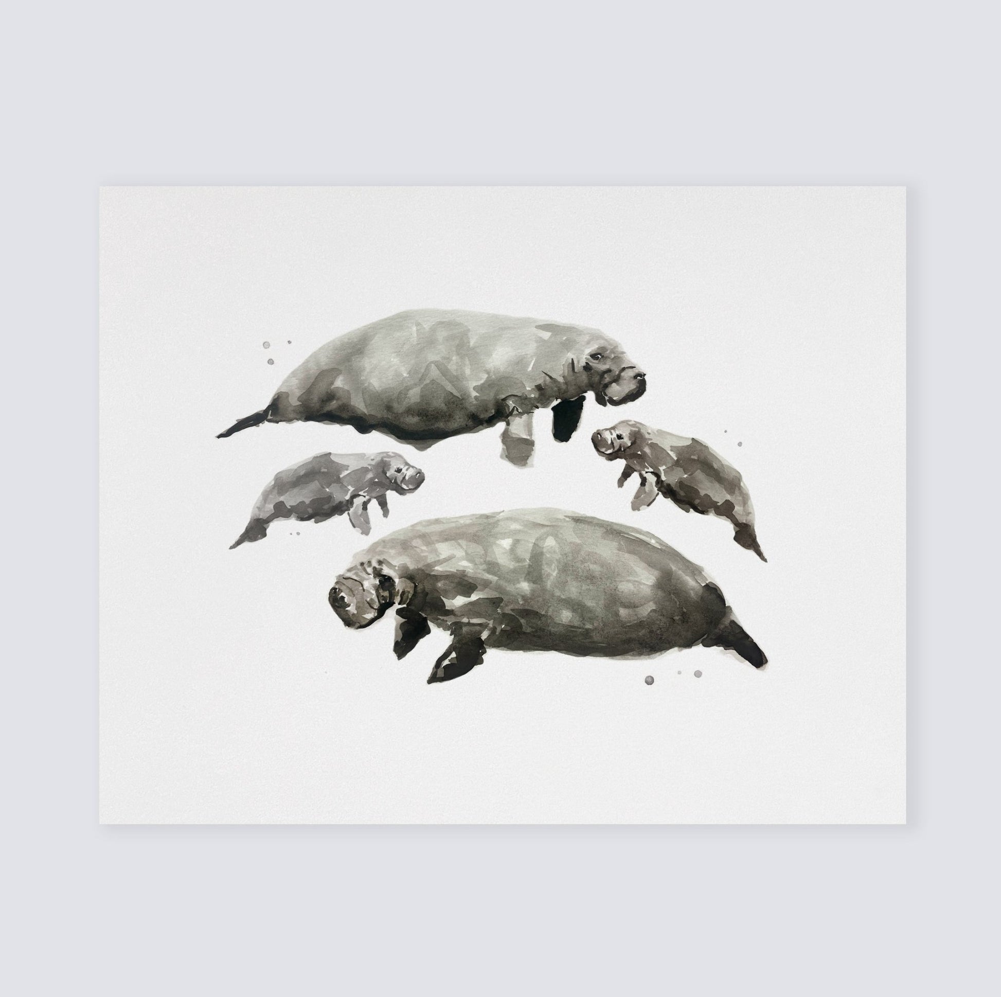 Manatee Family of 4 Sea Animal Watercolor Art Print - Art Prints - Moon Rock Prints