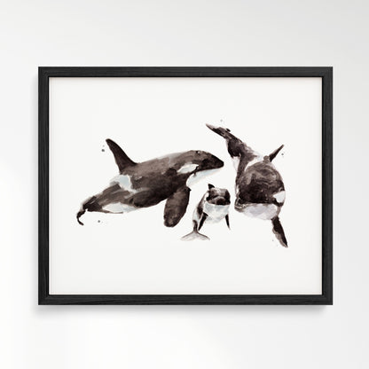 Orca Family of 3 Ocean Animal Watercolor Art Print - Art Prints - Moon Rock Prints