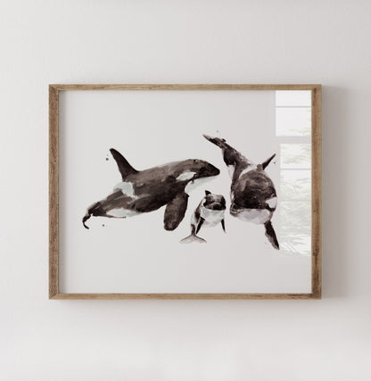 Orca Family of 3 Ocean Animal Watercolor Art Print - Art Prints - Moon Rock Prints