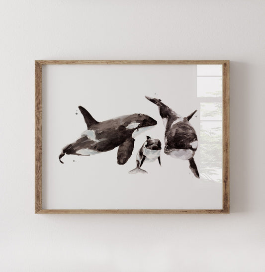 Orca Family of 3 Ocean Animal Watercolor Art Print - Art Prints - Moon Rock Prints