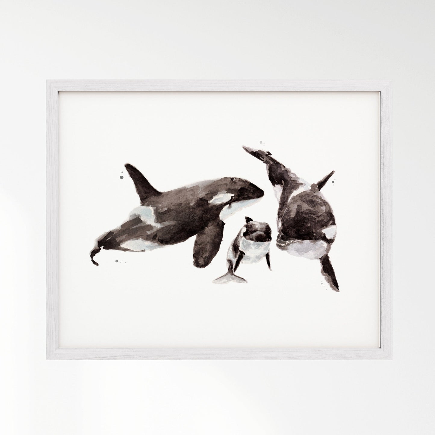 Orca Family of 3 Ocean Animal Watercolor Art Print - Art Prints - Moon Rock Prints