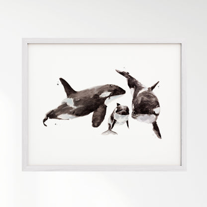 Orca Family of 3 Ocean Animal Watercolor Art Print - Art Prints - Moon Rock Prints