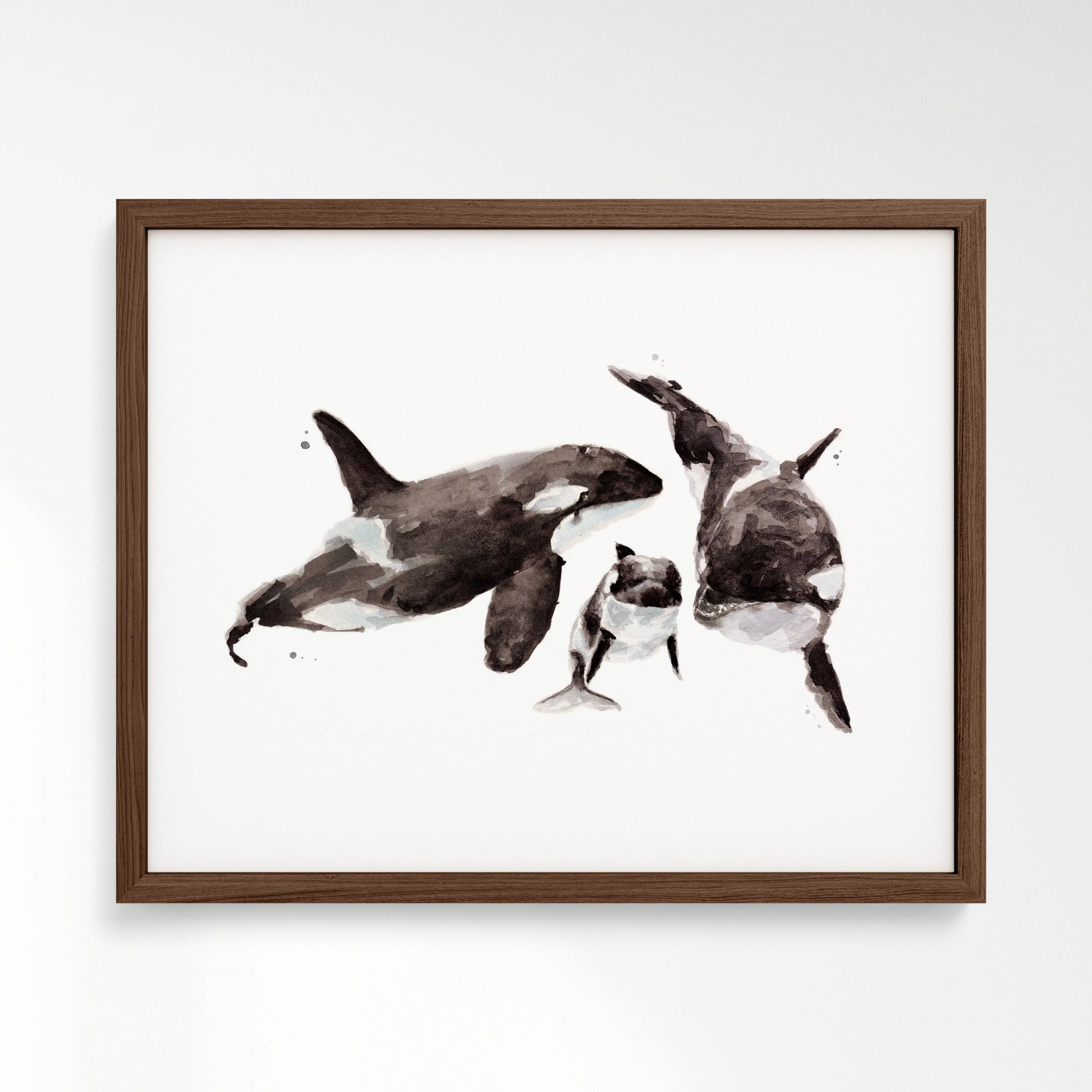 Orca Family of 3 Ocean Animal Watercolor Art Print - Art Prints - Moon Rock Prints