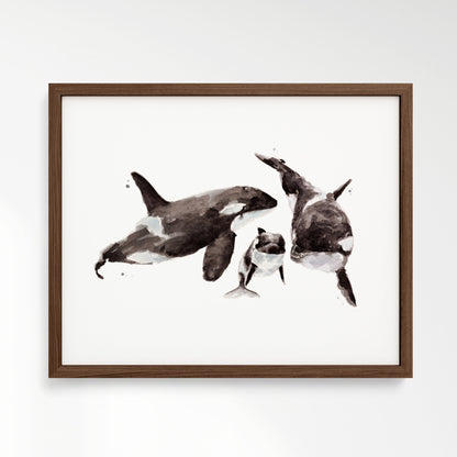 Orca Family of 3 Ocean Animal Watercolor Art Print - Art Prints - Moon Rock Prints