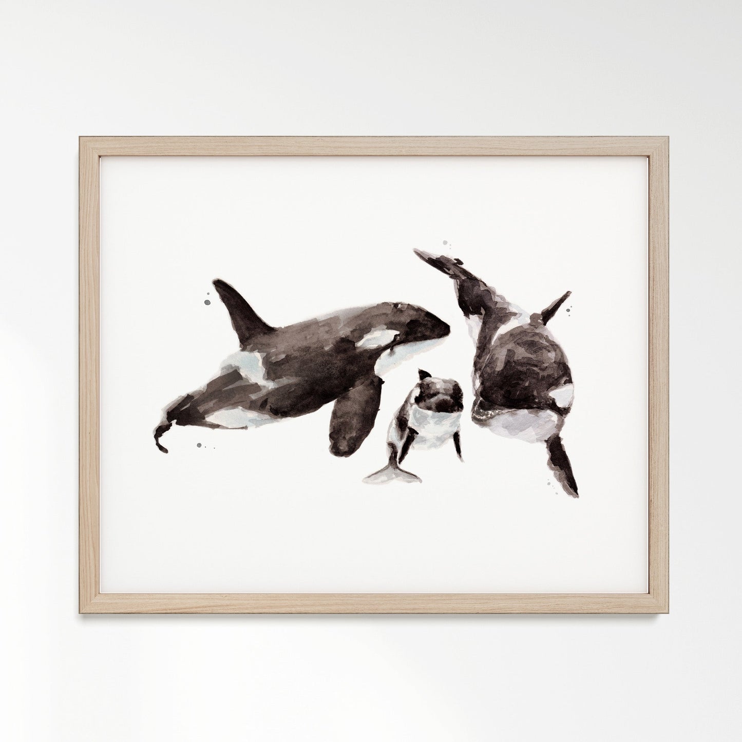 Orca Family of 3 Ocean Animal Watercolor Art Print - Art Prints - Moon Rock Prints
