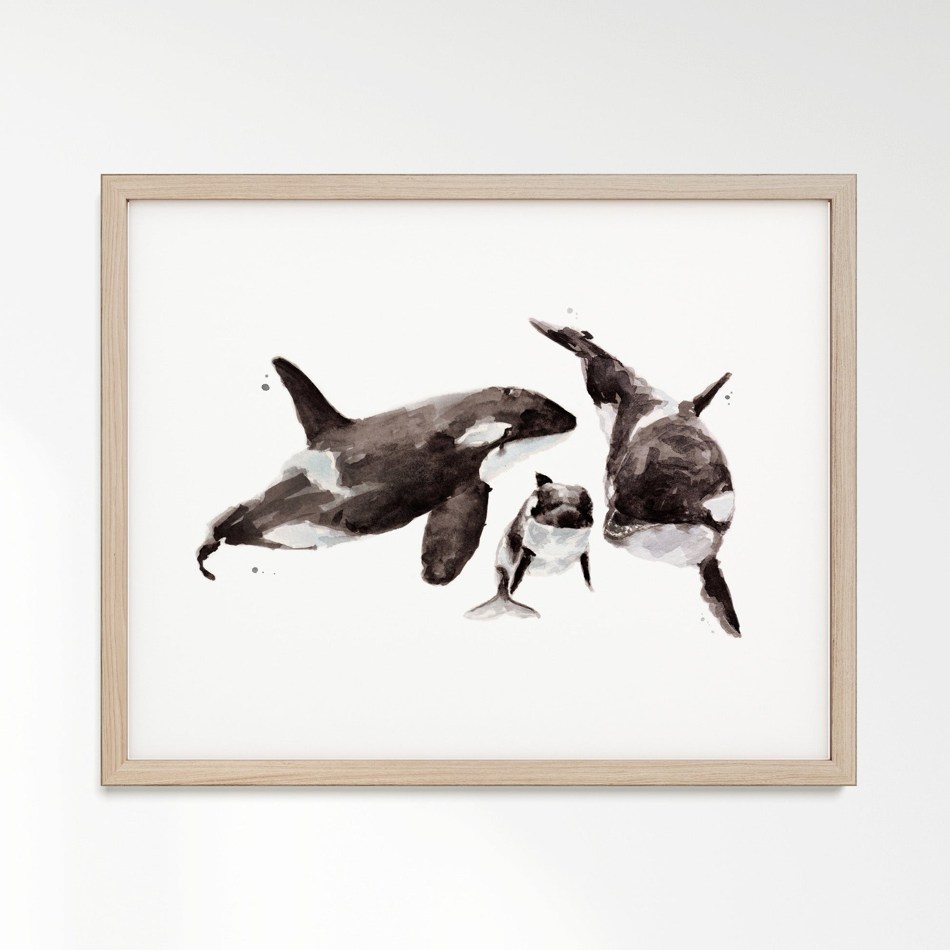 Orca Family of 3 Ocean Animal Watercolor Art Print - Art Prints - Moon Rock Prints