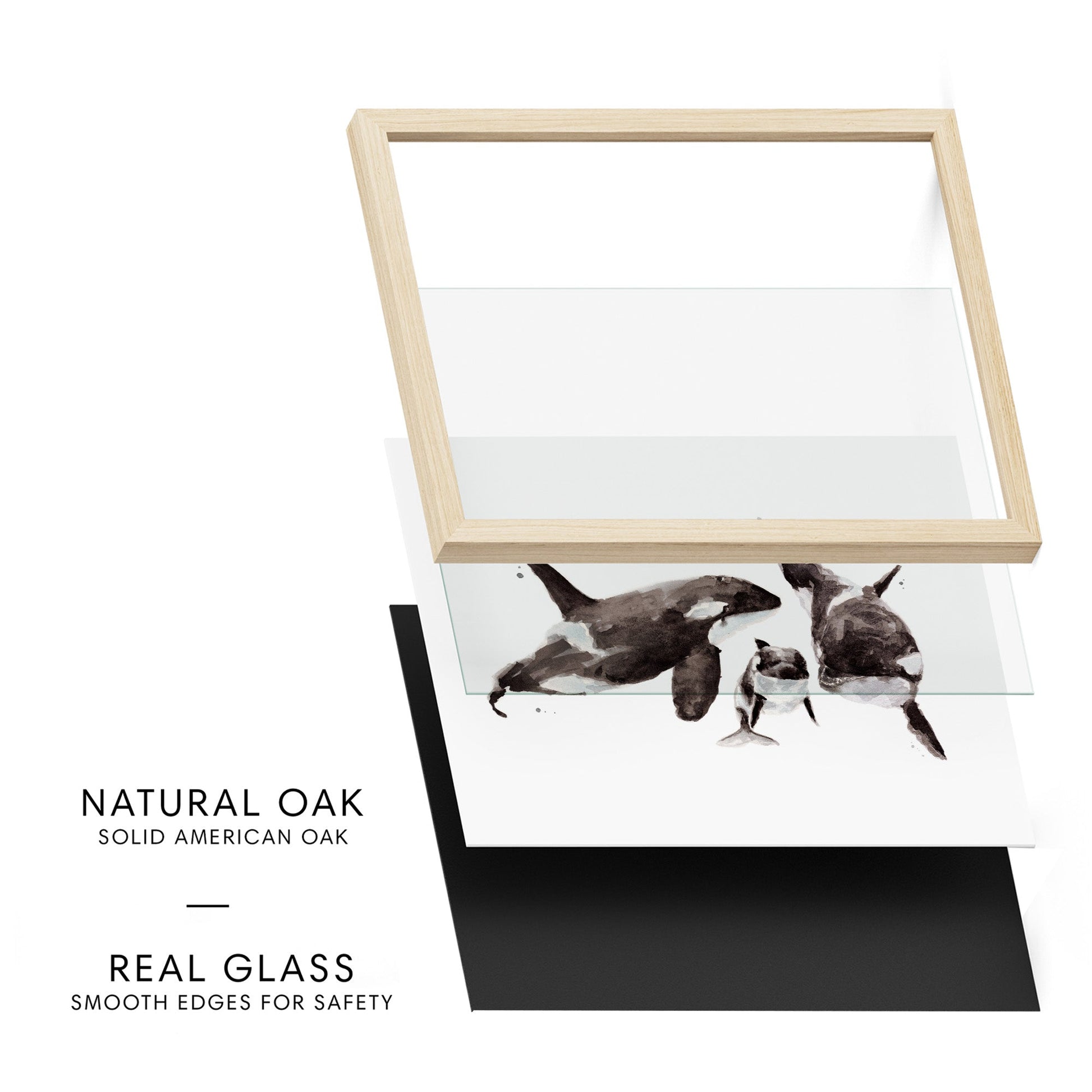 Orca Family of 3 Ocean Animal Watercolor Art Print - Art Prints - Moon Rock Prints