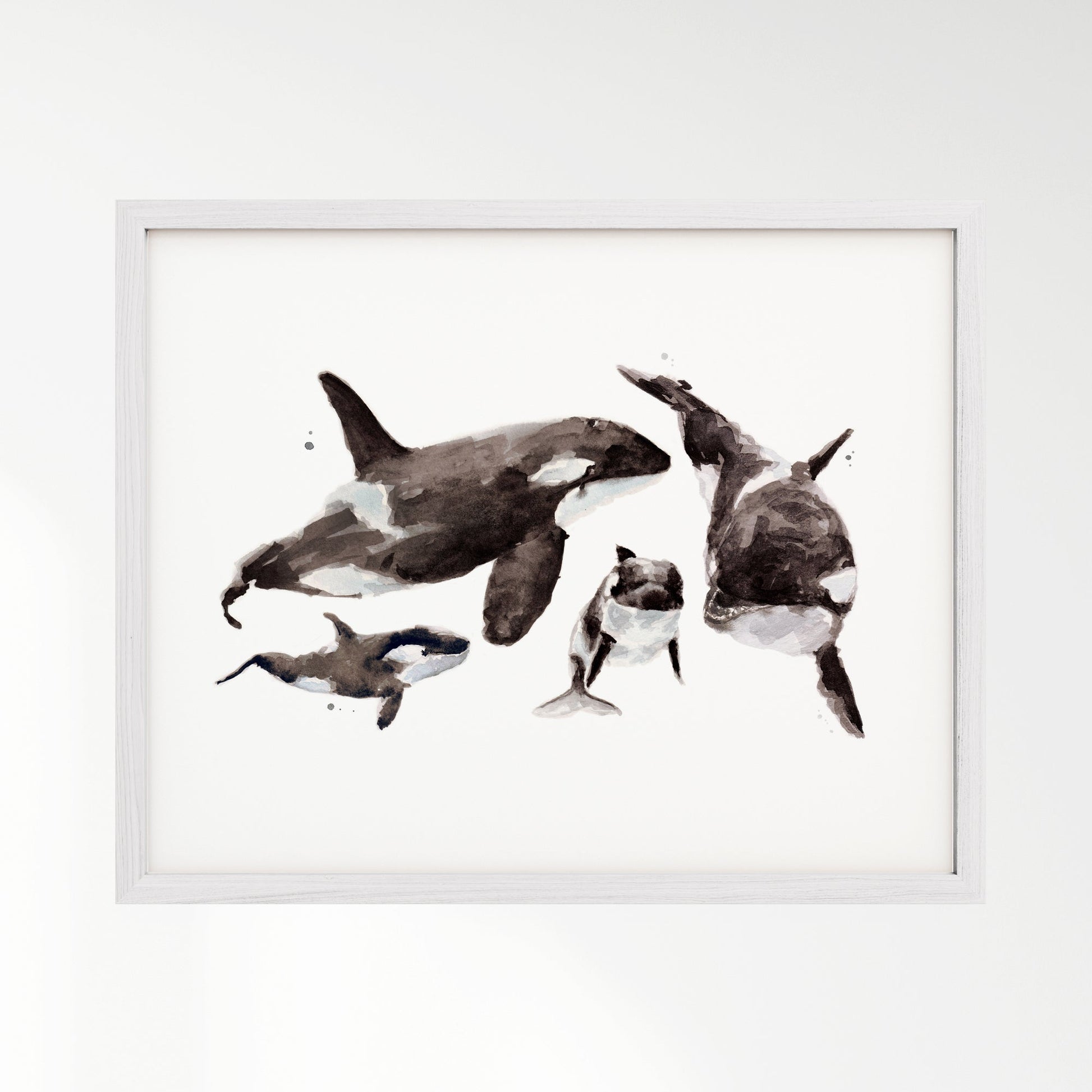 Orca Family of 4 Arctic Ocean Animal Watercolor Art Print - Art Prints - Moon Rock Prints
