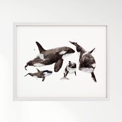 Orca Family of 4 Arctic Ocean Animal Watercolor Art Print - Art Prints - Moon Rock Prints