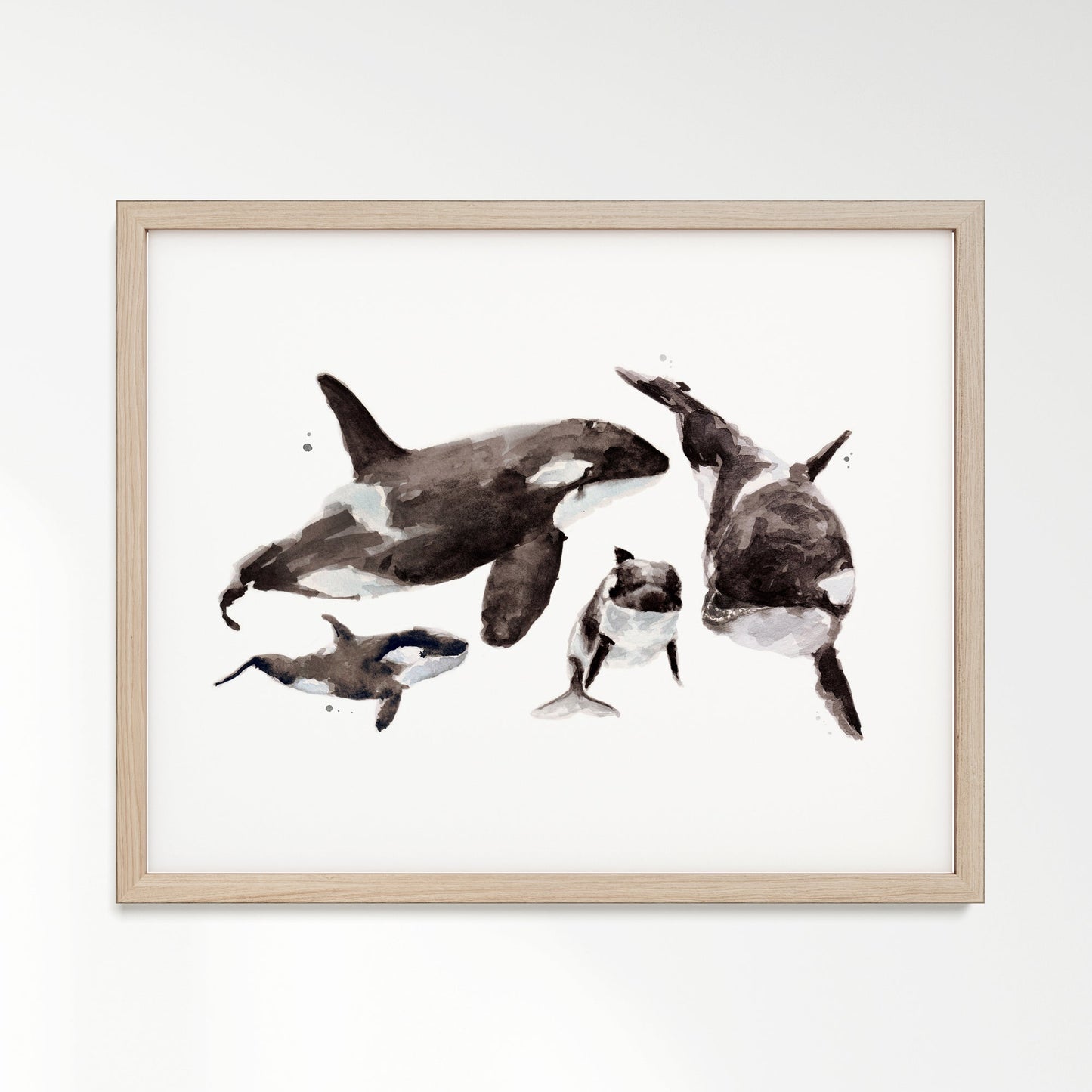 Orca Family of 4 Arctic Ocean Animal Watercolor Art Print - Art Prints - Moon Rock Prints