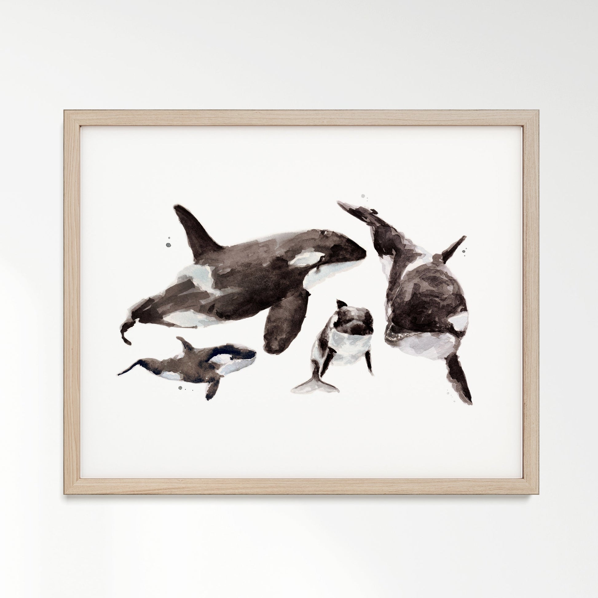 Orca Family of 4 Arctic Ocean Animal Watercolor Art Print - Art Prints - Moon Rock Prints