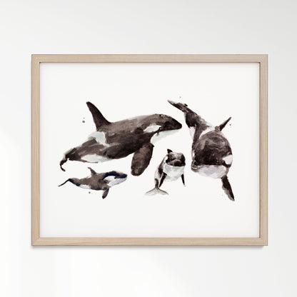 Orca Family of 4 Arctic Ocean Animal Watercolor Art Print - Art Prints - Moon Rock Prints