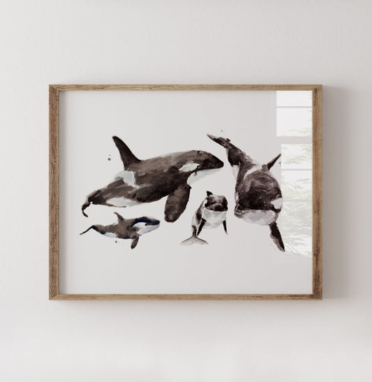 Orca Family of 4 Arctic Ocean Animal Watercolor Art Print - Art Prints - Moon Rock Prints