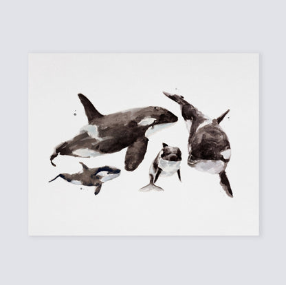Orca Family of 4 Arctic Ocean Animal Watercolor Art Print - Art Prints - Moon Rock Prints