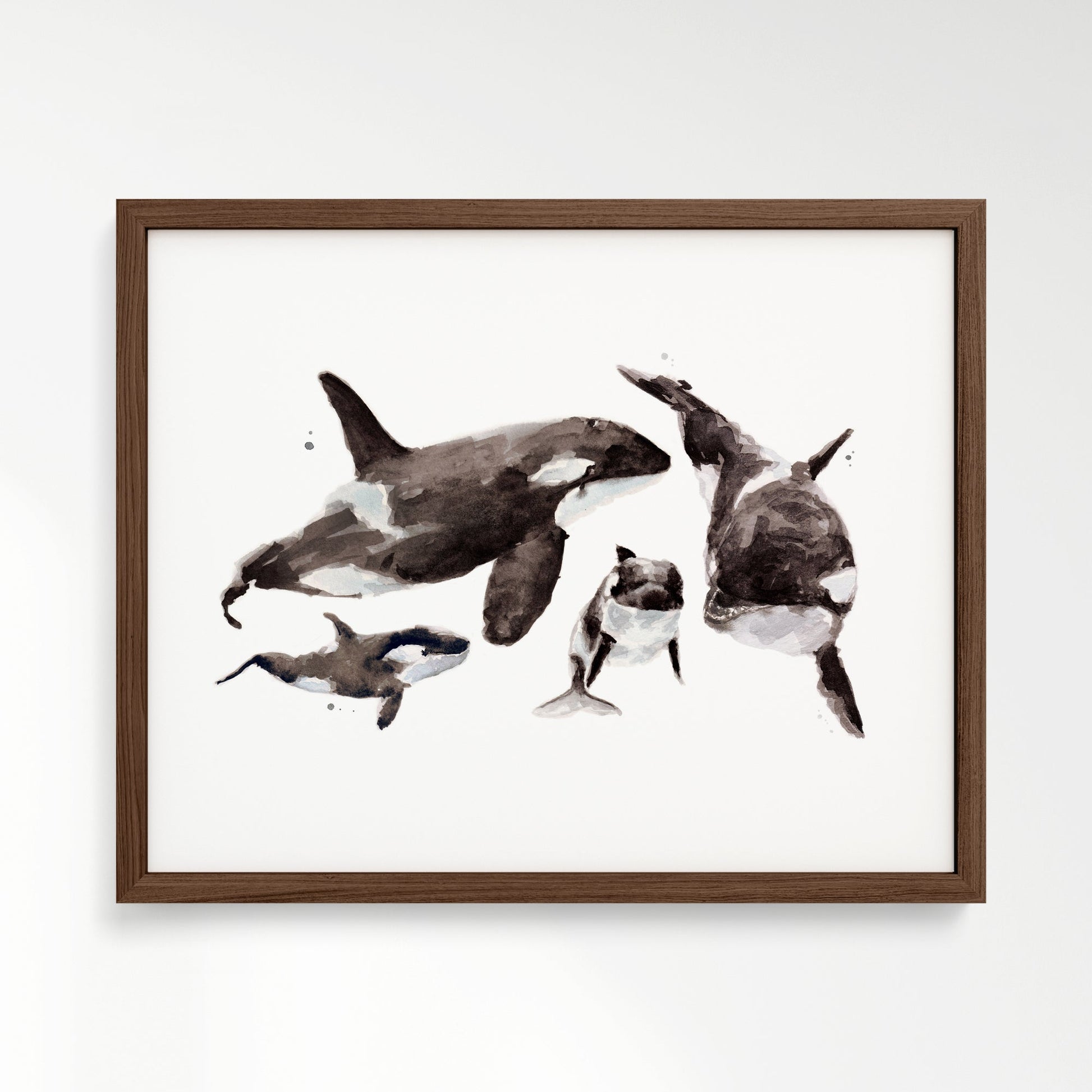 Orca Family of 4 Arctic Ocean Animal Watercolor Art Print - Art Prints - Moon Rock Prints