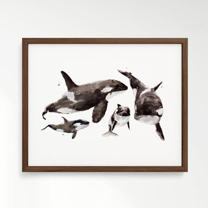 Orca Family of 4 Arctic Ocean Animal Watercolor Art Print - Art Prints - Moon Rock Prints