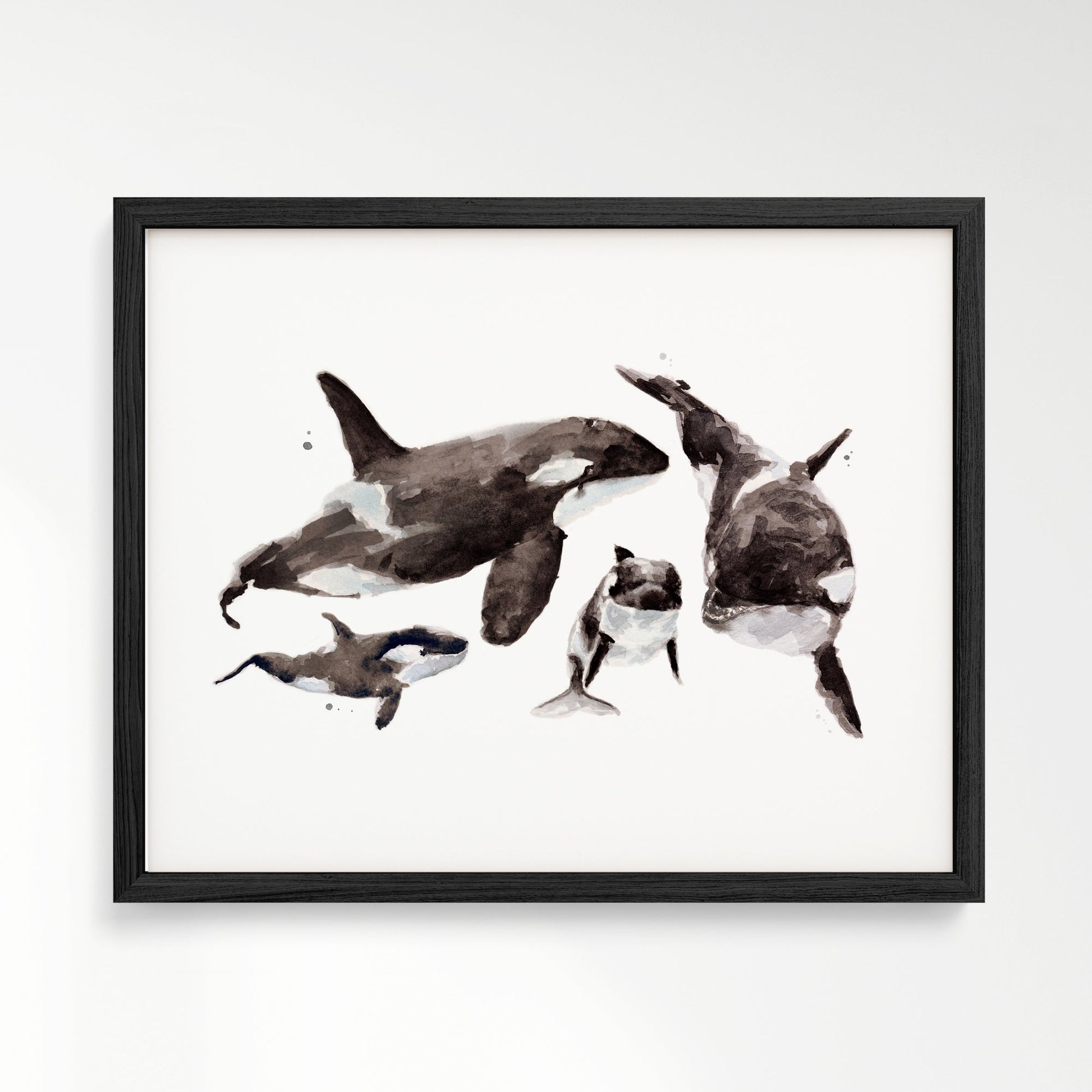 Orca Family of 4 Arctic Ocean Animal Watercolor Art Print - Art Prints - Moon Rock Prints