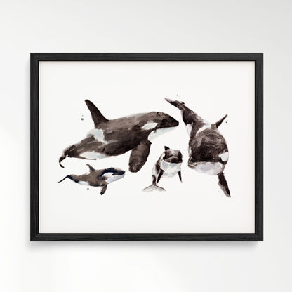 Orca Family of 4 Arctic Ocean Animal Watercolor Art Print - Art Prints - Moon Rock Prints
