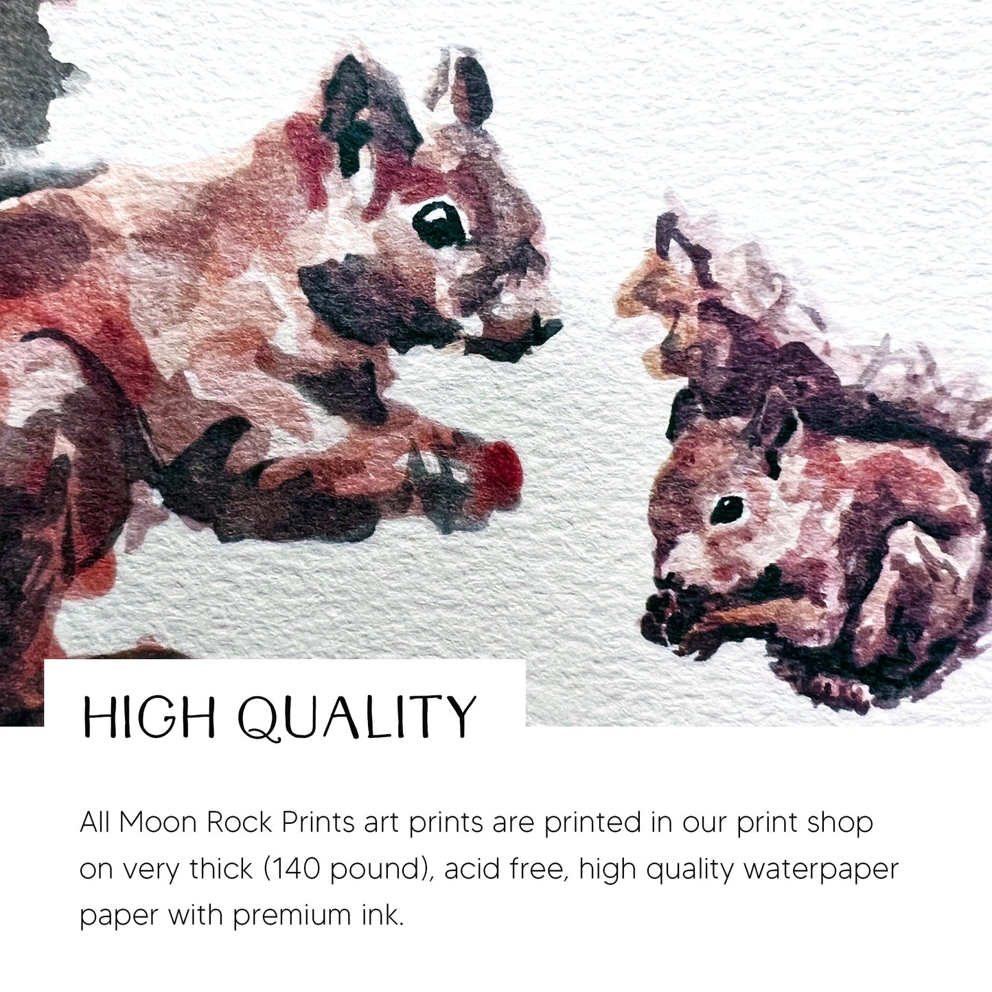 Squirrel & Two Baby Squirrels Woodland Animal Watercolor Art Print - Art Prints - Moon Rock Prints