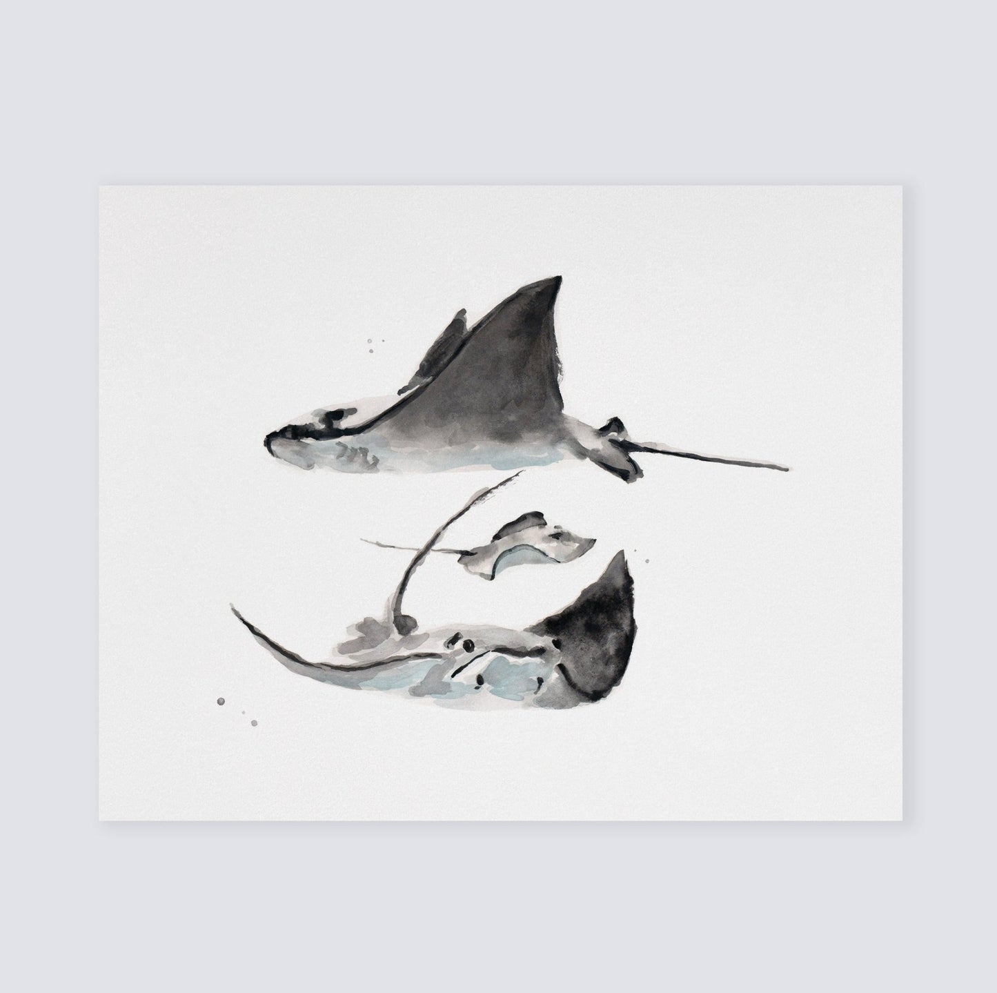 Stingray Family of 3 Ocean Animal Watercolor Art Print - Art Prints - Moon Rock Prints