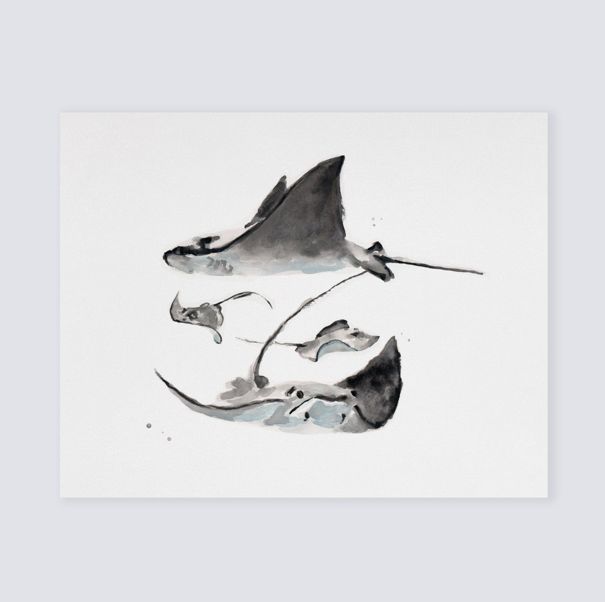 Stingray Family of 4 Ocean Animal Watercolor Art Print - Art Prints - Moon Rock Prints