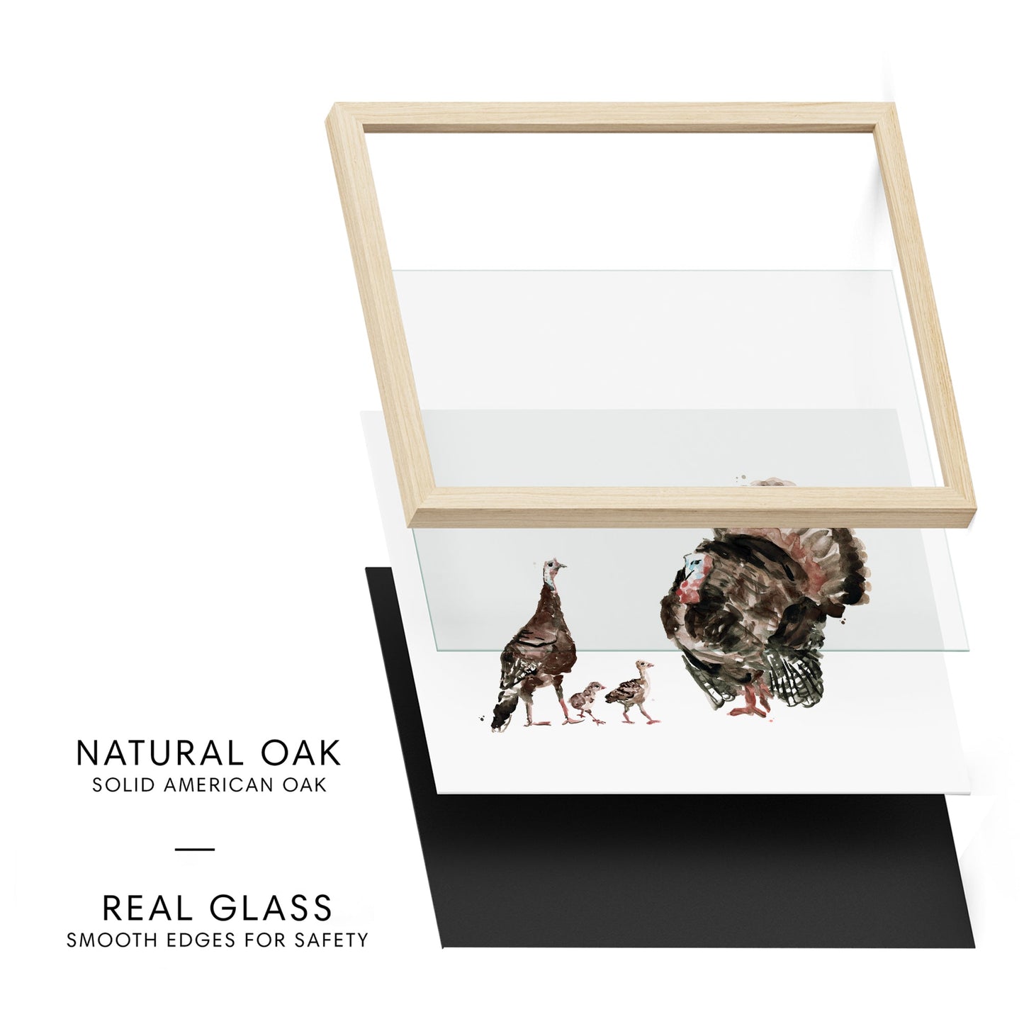 Turkey Family of 4 Farm Animal Watercolor Art Print - Art Prints - Moon Rock Prints